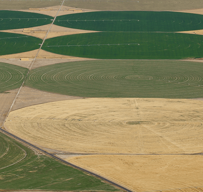 Corn varieties planted in circular fields