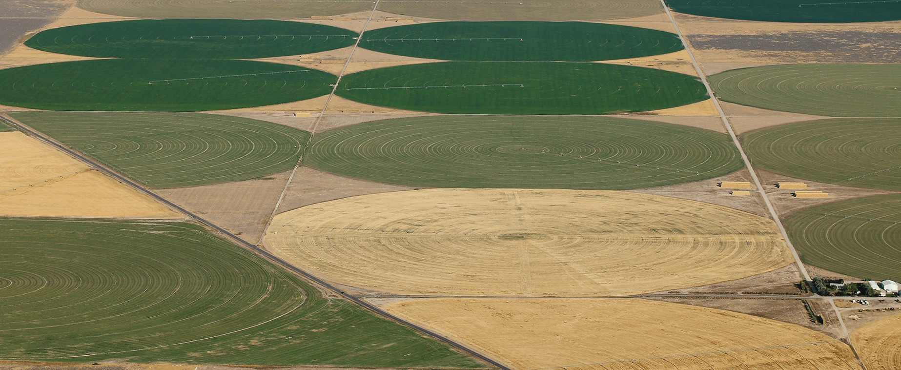 Case study: Comparing Corn Variety Yields in Center Pivot Irrigated Fields