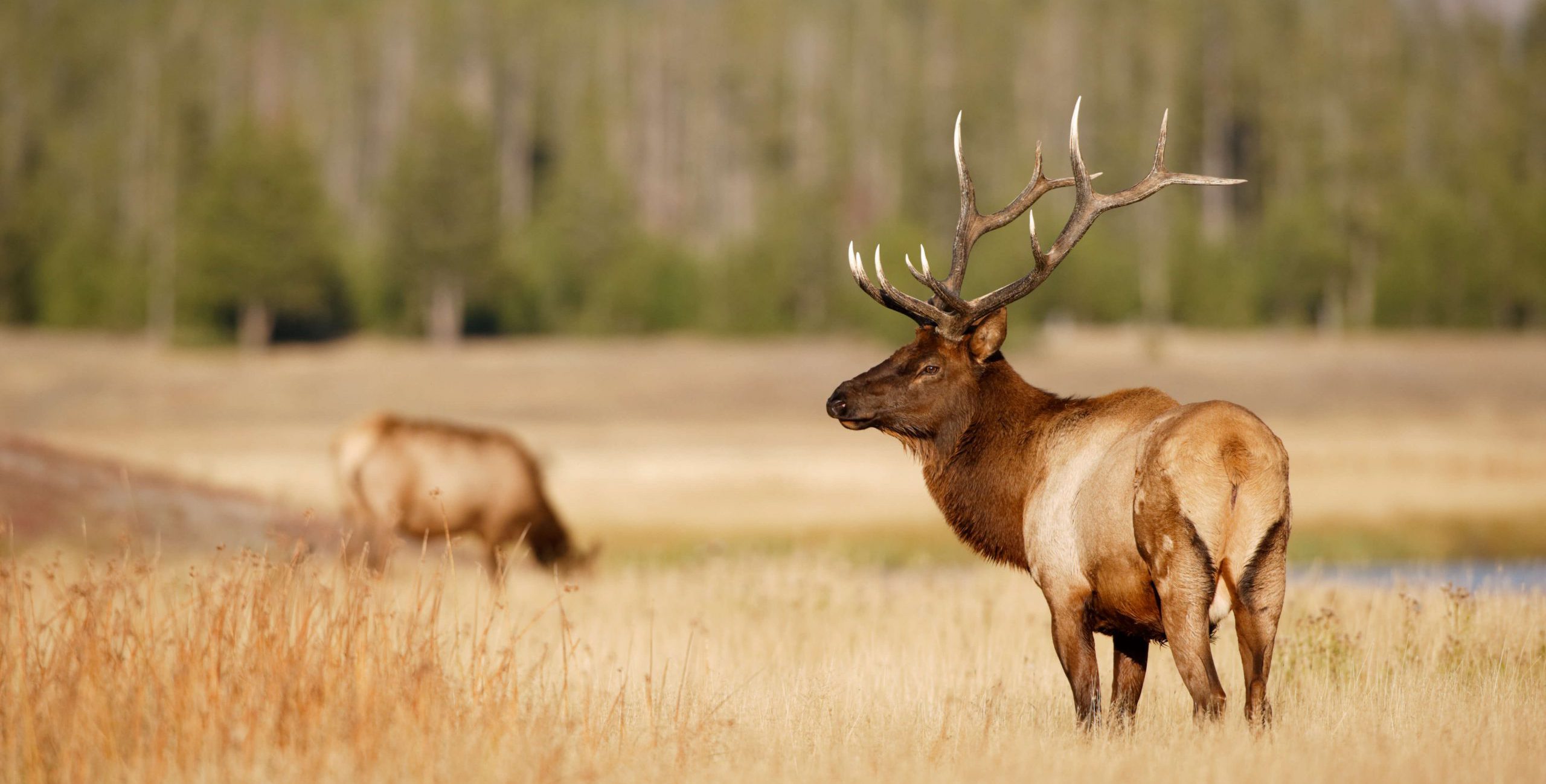 Case Study: File Farm Insurance Claims Easily and Accurately