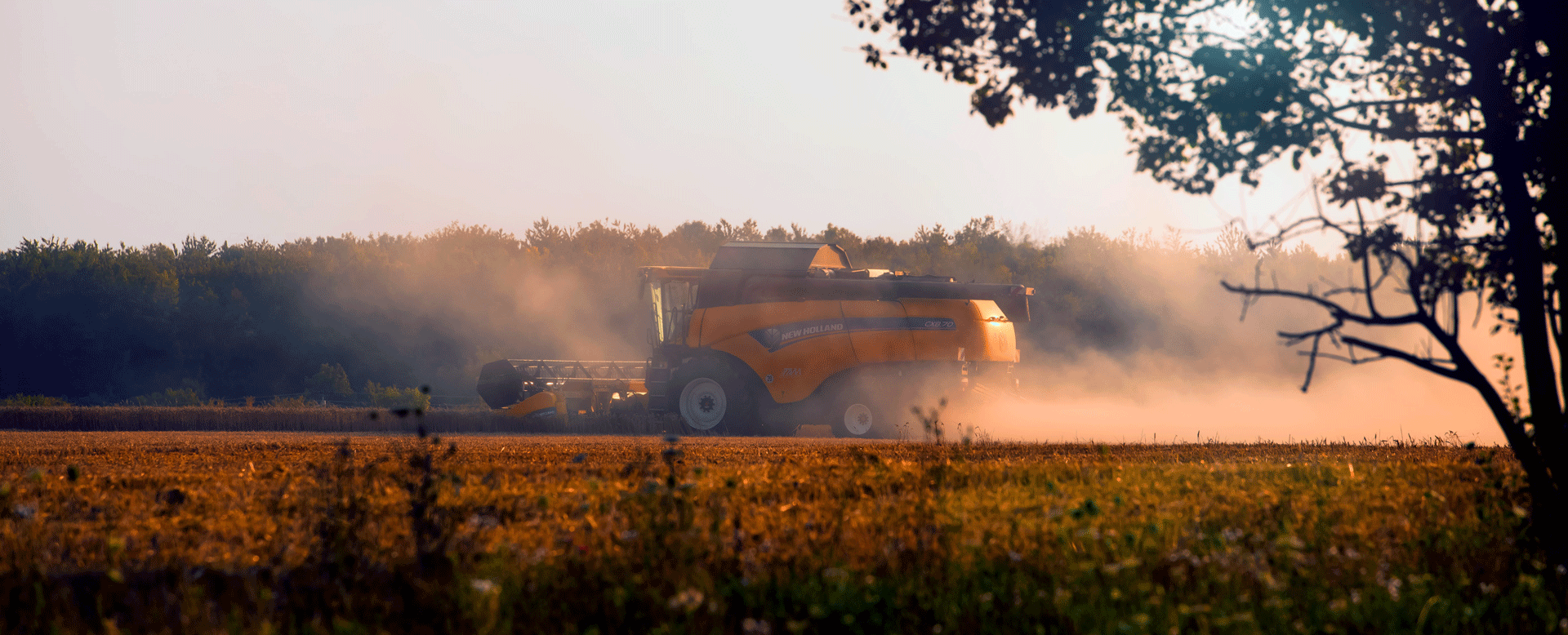 Case Study: FarmTRX and Factory Yield Monitor Comparison