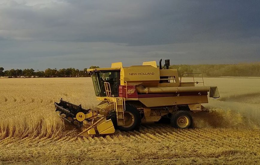 A New Holland combine working in a field 