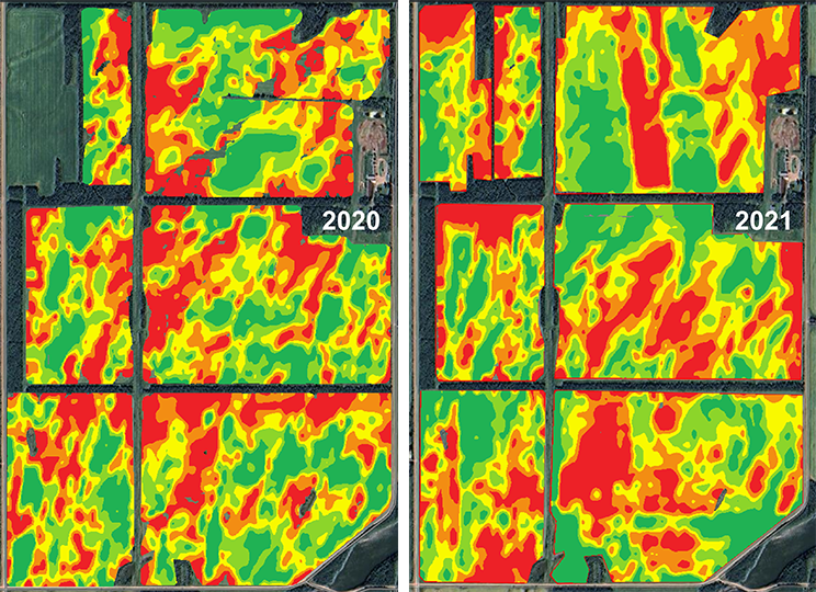 Six Yield maps from Casson Farms 