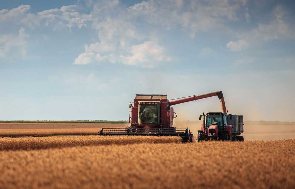 A combine is transferring grain to a grain cart in the field