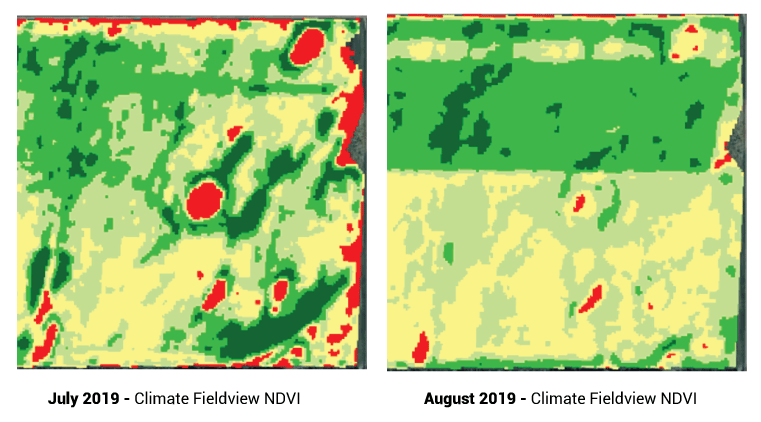 ClimateFieldView screens 