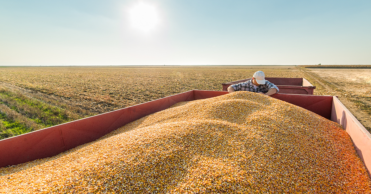 Which FarmTRX Yield Monitor Do I Have? A Quick Visual Guide