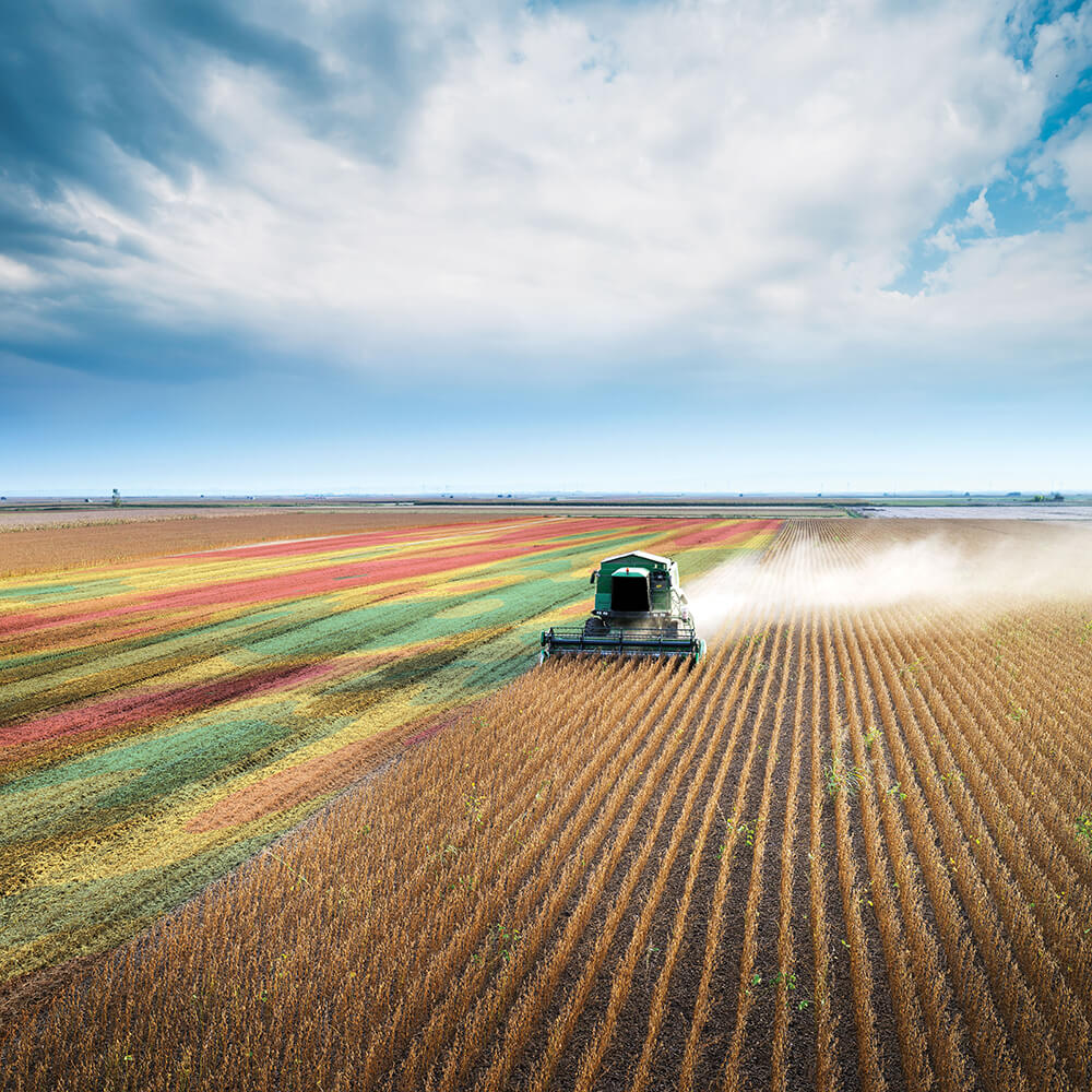combine harvesting with yield map