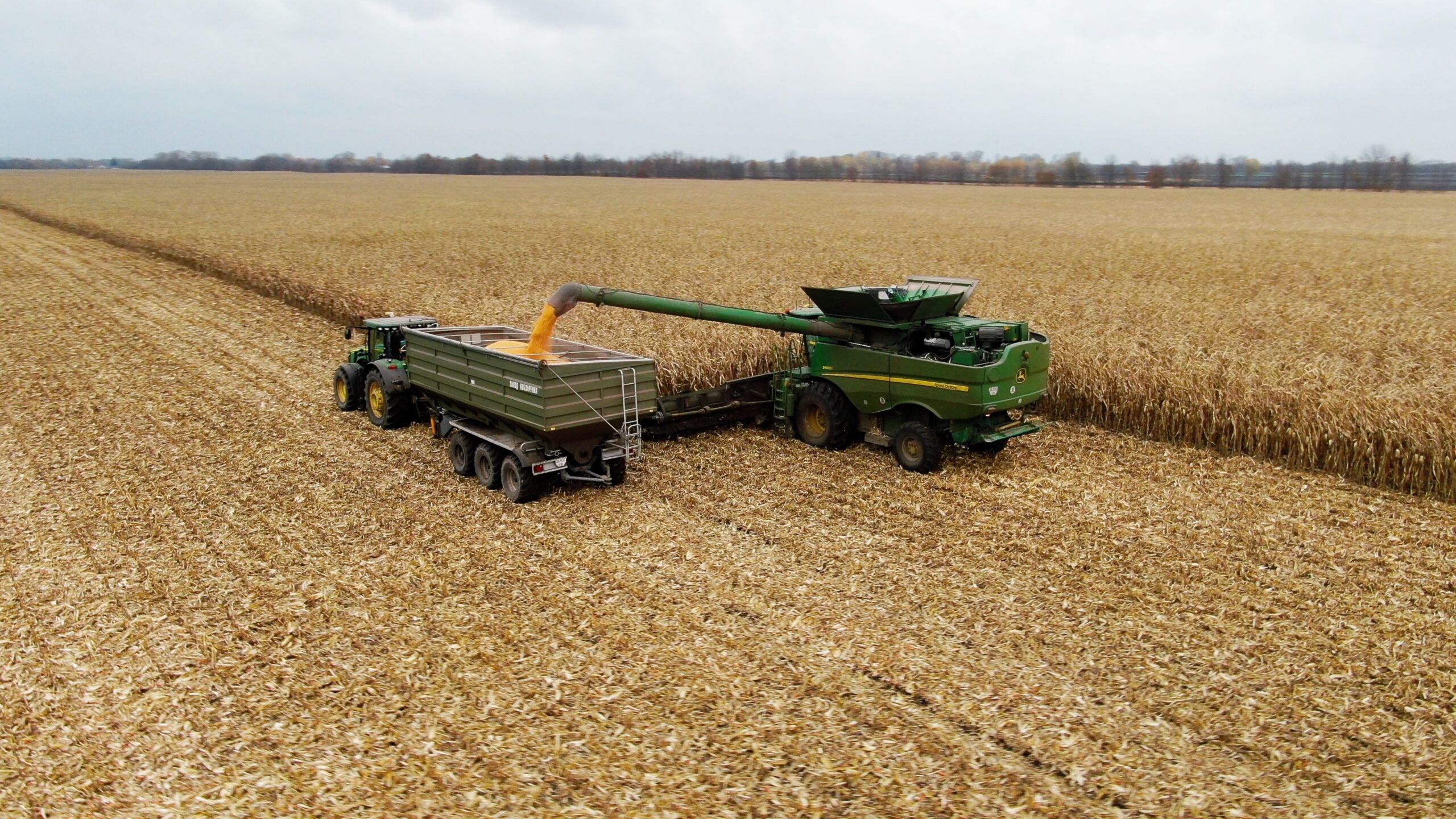 Kernel combine and grain cart