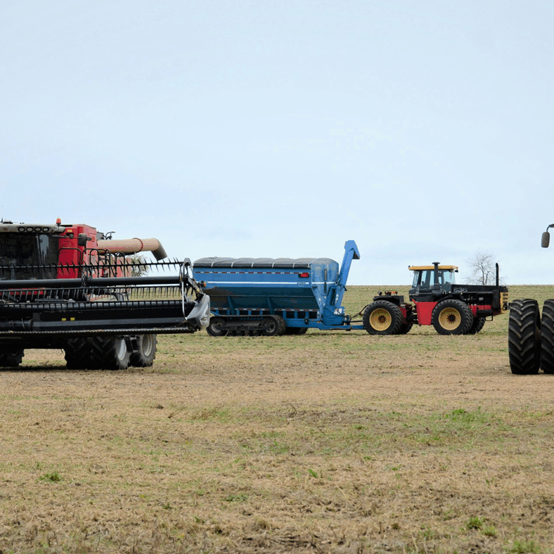 two combines in field