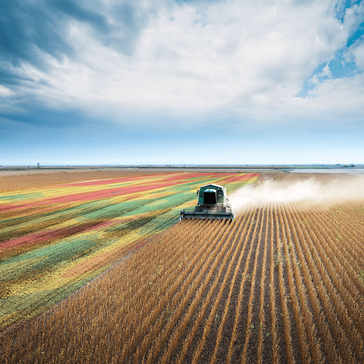 Yield maps – taking the guesswork out of precision agriculture