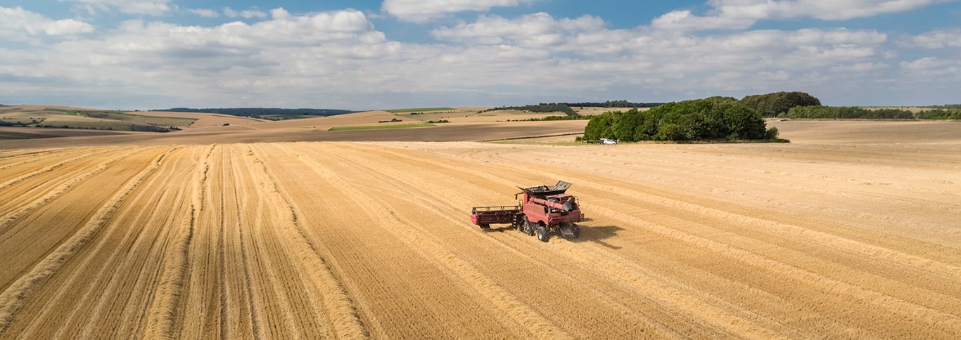 What Happens to My Yield Data in the Web App?